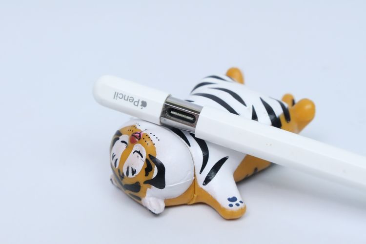 Apple Pencil USB-C - ID26010221 รูปที่ 4