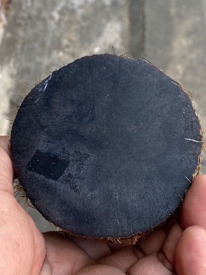 เครื่องราง ของแปลก รูปที่ 9