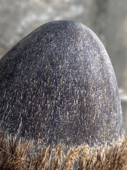 เครื่องราง ของแปลก รูปที่ 5