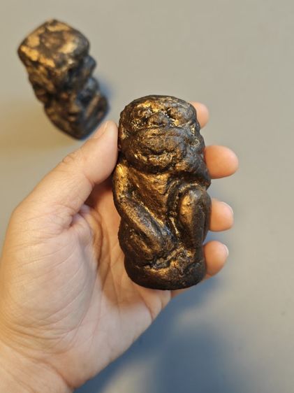 ว่านยาสักเก่า ล้านนา รูปที่ 2