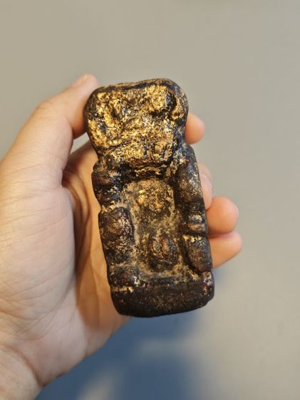 ว่านยาสักเก่า ล้านนา รูปที่ 3