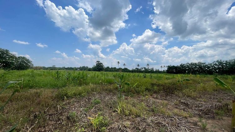 ขายที่ดิน 7 ไร่ ปากช่อง-เขาใหญ่ (แบ่งขายได้) ติดถนนธนะรัชต์ ต.หนองน้ำแดง รูปที่ 3