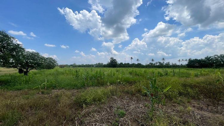 ขายที่ดิน 7 ไร่ ปากช่อง-เขาใหญ่ (แบ่งขายได้) ติดถนนธนะรัชต์ ต.หนองน้ำแดง รูปที่ 2