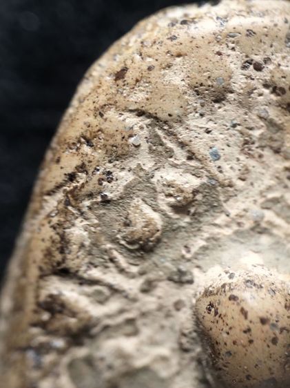 พระบางลำพูนเนื้อดินครับ รูปที่ 5