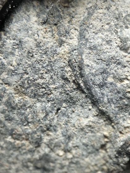 พระขุนแผนใบพุทธาเนื้อดินเลี่ยมเงินแท้กันน้ำครับ รูปที่ 8