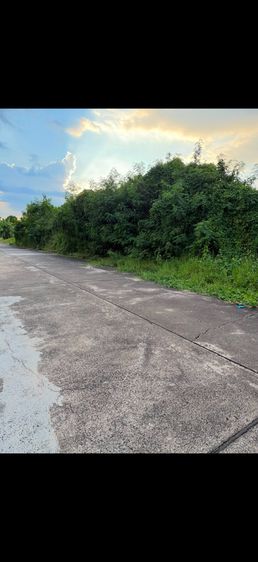 ขายที่ดินในโครงการจัดสรรใกล้ถนนเชียงใหม่-หางดง  รูปที่ 2