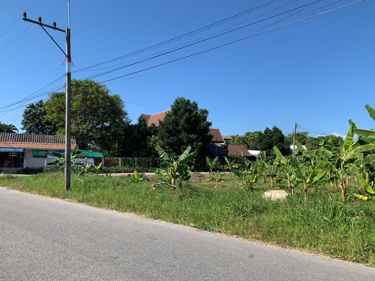 ที่ดินแปลงสวย เชียงใหม่ รูปที่ 2