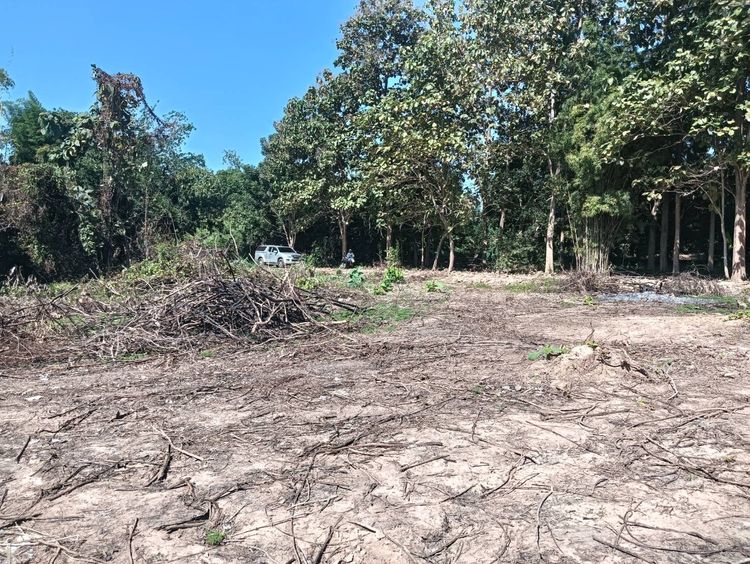 ขายที่ดินเปล่า ยกแปลง ขนาด 4 ไร่ 103 ตรว รูปที่ 3