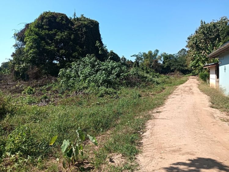 ขายที่ดินเปล่า ยกแปลง ขนาด 4 ไร่ 103 ตรว รูปที่ 2