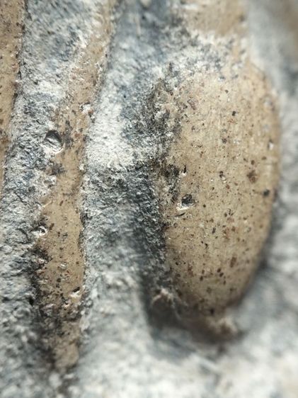 พระลีลาเม็ดขนุนกำแพงเพชรครับ รูปที่ 17