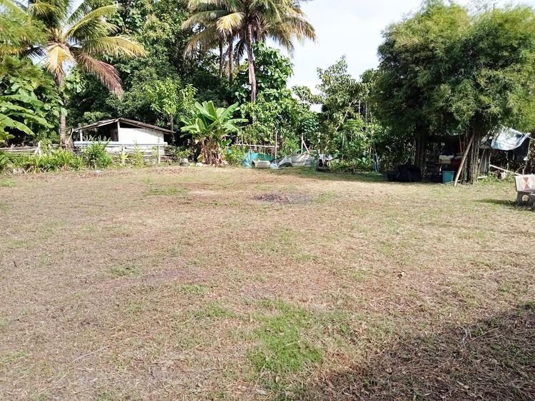 ที่ดินเปล่า200ตรว. ถมแล้ว ติดลำน้ำ วิวทุ่งนา รูปที่ 4