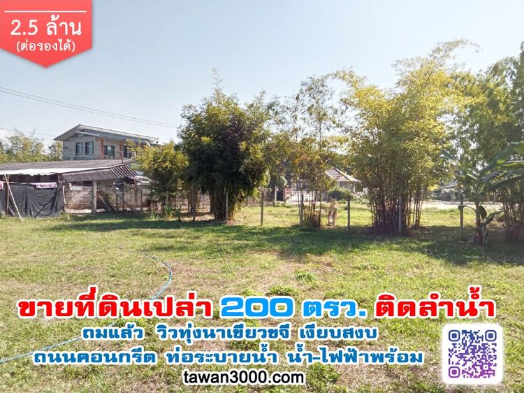 ขาย200ตรว. ที่ดินเปล่า ถมแล้ว ติดลำน้ำ วิวทุ่งนา พร้อมโอน
