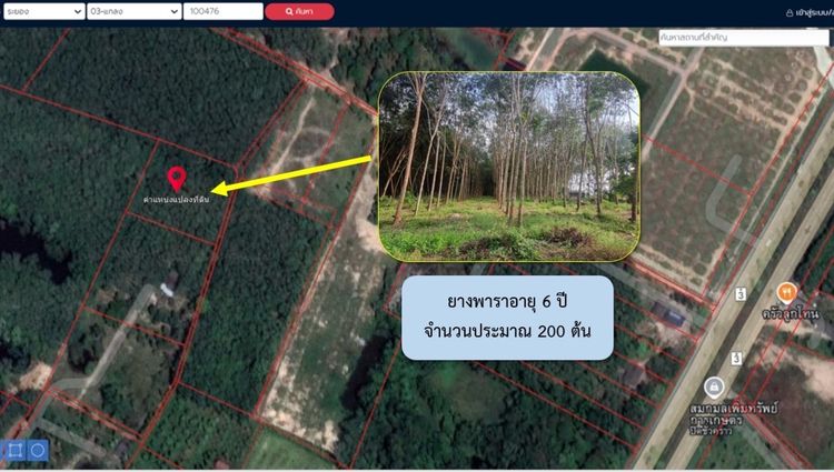 🏅ทำเลทอง ที่ดิน 2 ไร่ ใกล้ถนนสุขุมวิทเพียง 300 ม. (แกลง,ระยอง)