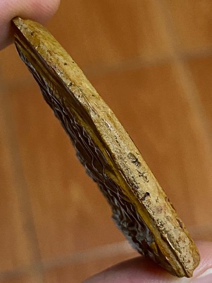 หลวงพ่อเงิน วัดดอนยายหอม รูปที่ 4