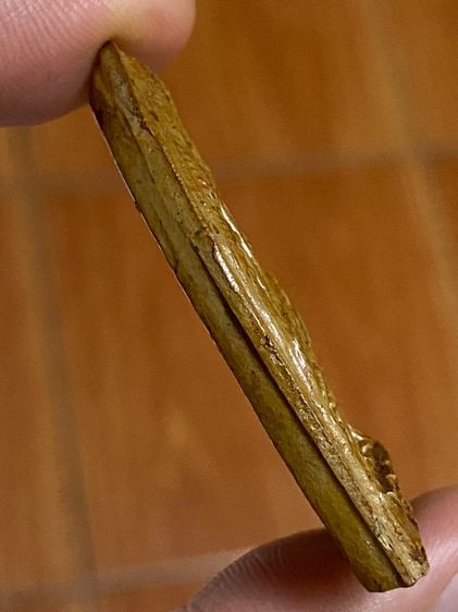 หลวงพ่อเงิน วัดดอนยายหอม รูปที่ 3