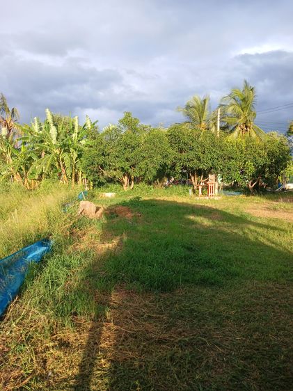 ขายที่ดินบ่อปลา 7 ไร่ ราคา 4.49 ล้านบาท ดอนตูม นครปฐม โทร 0892507682