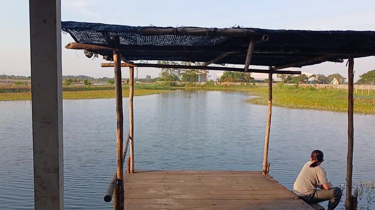 ขายที่ดินบ่อปลา 7 ไร่ ราคา 4.49 ล้านบาท ดอนตูม นครปฐม โทร 0892507682 รูปที่ 3