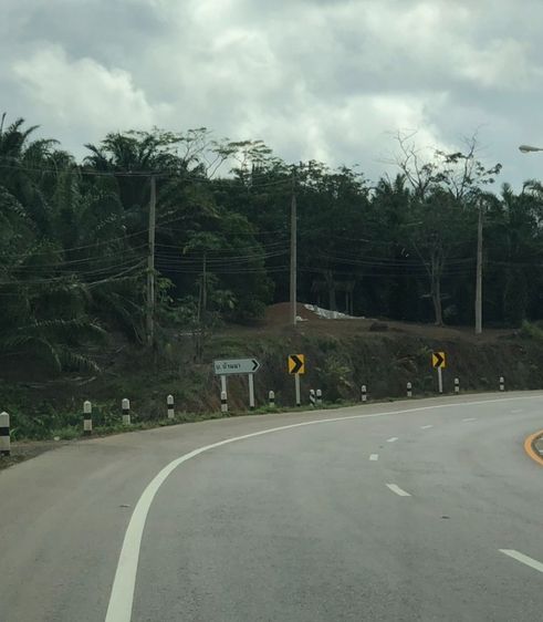 ขายที่ดินพร้อมสวนปาล์มผลผลิตสูง 2 ชุด (ติดถนนเพชรเกษมหน้ากว้าง 100 ม. + แปลงด้านใน) ต.วังใหม่ อ.เมืองชุมพร รูปที่ 2