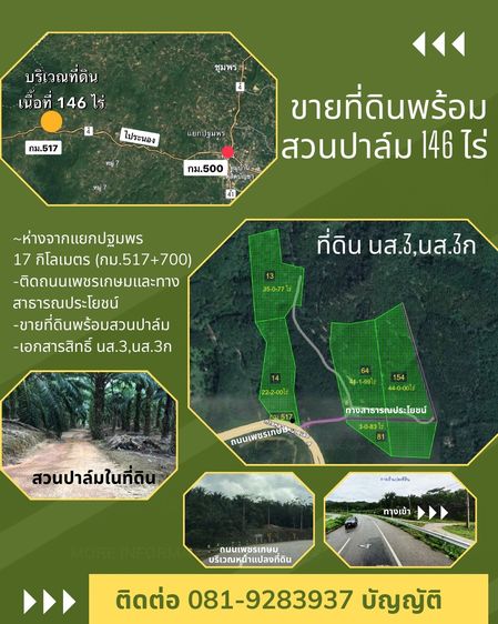 ขายที่ดินพร้อมสวนปาล์มผลผลิตสูง 2 ชุด (ติดถนนเพชรเกษมหน้ากว้าง 100 ม. + แปลงด้านใน) ต.วังใหม่ อ.เมืองชุมพร