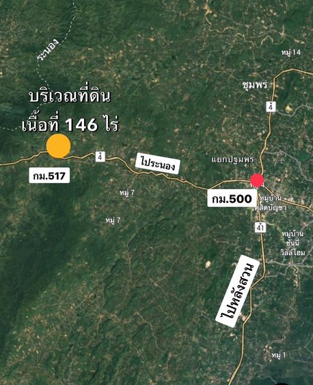 ขายที่ดินสวนปาล์มติดถนนเพชรเกษม หน้ากว้าง 100 ม. ต.วังใหม่ อ.เมืองชุมพร รูปที่ 4