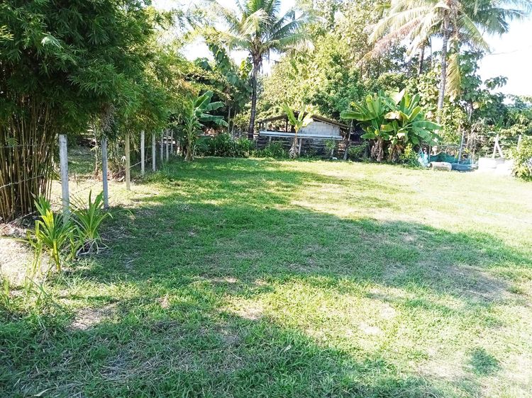 ที่ดินเปล่า200ตรว. ถมแล้ว ติดลำน้ำ วิวทุ่งนา พร้อมโอน รูปที่ 4