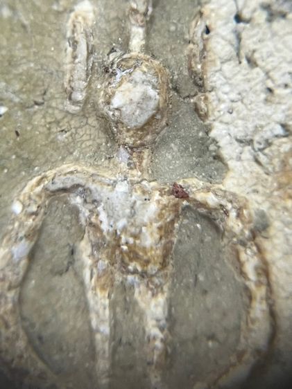 สมเด็จเกศ รูปที่ 7