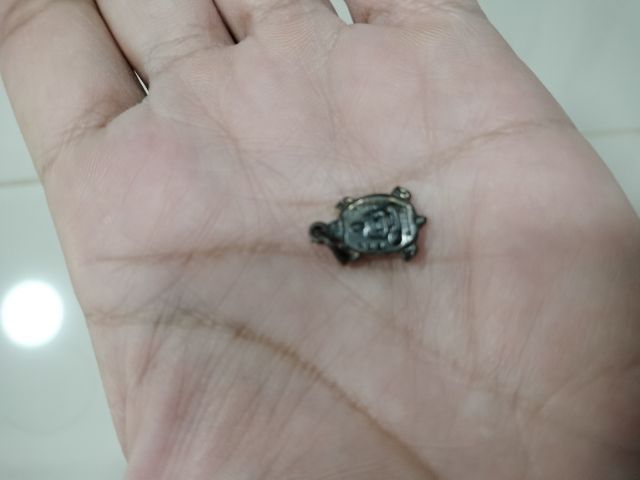 หลวงปู่หลิว วัดไร่แตงทอง รุ่นจ้าวทรัพย์ 2561 องค์จิ๋ว รูปที่ 6