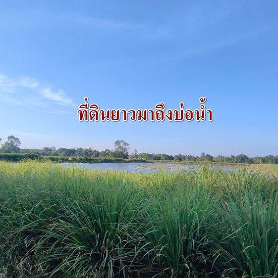 ขายที่ดิน10ไร่ หนองเสือ คลอง9 ติดถนคอนกรีต2เลนส์ รูปที่ 4