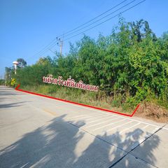 ขายที่ดิน10ไร่ หนองเสือ คลอง9 ติดถนคอนกรีต2เลนส์