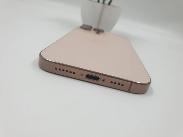 iPhone 16 Pro Max 256GB Desert Titanium รูปที่ 10