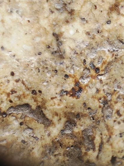 พระสมเด็จเนื้อสวยๆครับ รูปที่ 10