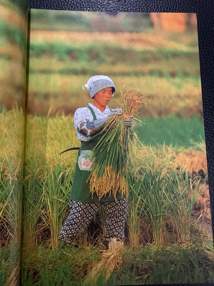 หนังสือ หน้าต่างสู่โลกกว้าง ญี่ปุ่น รูปที่ 4