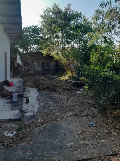 ขายที่ดินพร้อมสิ่งปลูกสร้าง รูปที่ 2