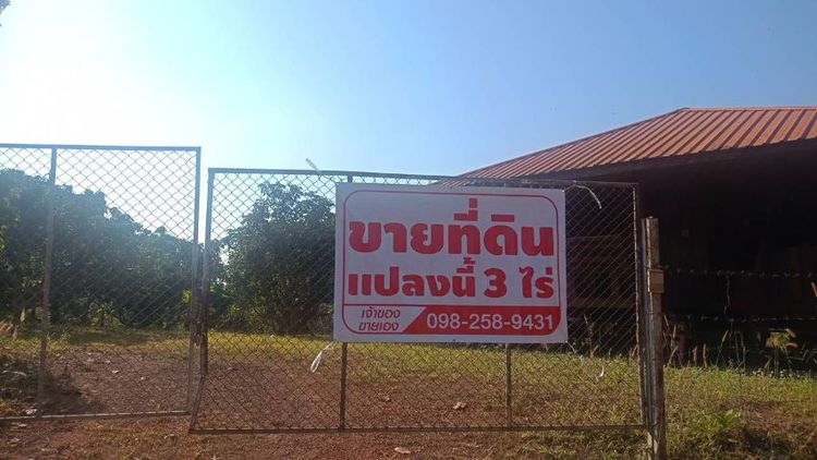 📌ขายสวนลำไย 3 ไร่ พร้อมบ้านพัก 1 หลัง ลำไย 126ต้น ราคา 1.65 ล้านบาท