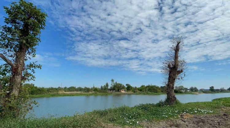 ให้เช่าที่ดินติดแม่นำ้ท่าจีน หินมูล บางเลน 2-2-71ไร่ ถมสูงนำ้ไม่ท่วม 
