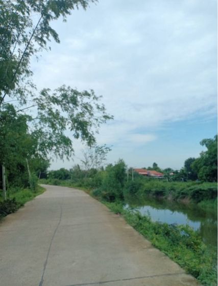 ไม่ใช่ ให้เช่าที่ดิน 4ไร่ ติดถนนพหลโยธิน ก่อนถึงโรงงานซีพีเมจิ  รูปที่ 3