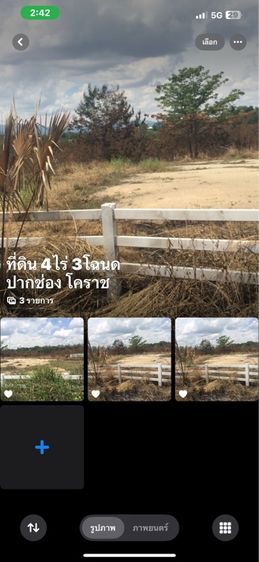 ให้เช่าที่ดินราคาถูก ปากช่อง โคราช 4ไร่ 