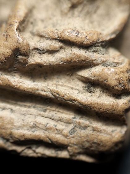 ❌ปิดครับ❌พระรอดลำพูนพิมพ์ใหญ่ครับ รูปที่ 16