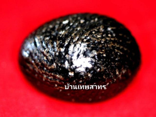 เบี้ยแก้หลวงปู่เพิ่ม รูปที่ 2