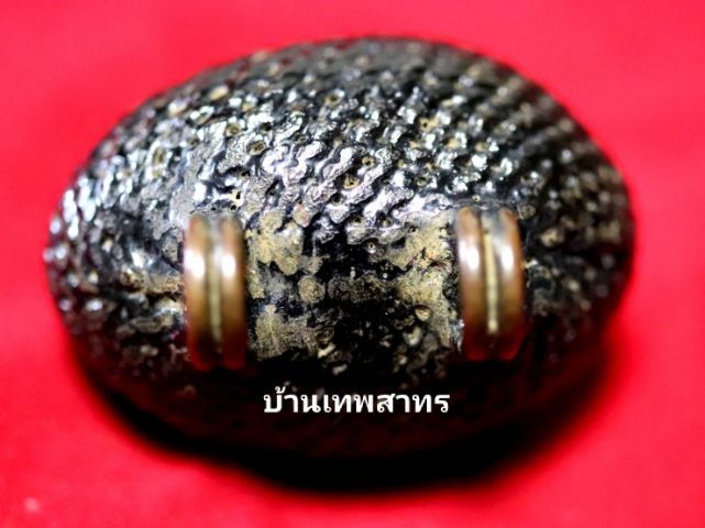 เบี้ยแก้หลวงปู่เพิ่ม