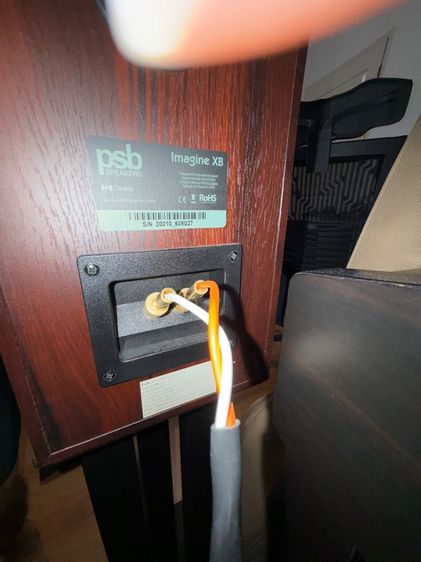 ลำโพง PSB imagin XB รูปที่ 6
