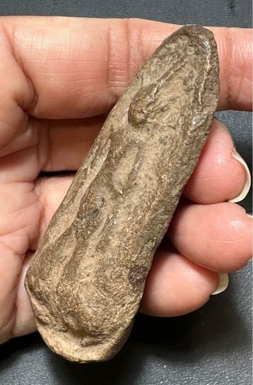 🙏พระนาคปรก เนื้อชินตะกั่ว ไม่ทราบที่🙏 พระลีลาเนื้อดินทุ่งเหยียบดอก หลวงพ่อสุรินทร์ วัดลาดบัวขาว ราชบุรี พระมีประสบการณ์ดี องค์ละ1550 รูปที่ 11