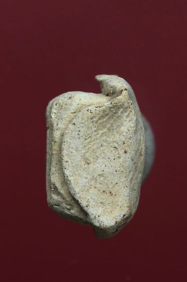 พระรอดลำพูนสวยๆค่ะเก่าค่ะ รูปที่ 5