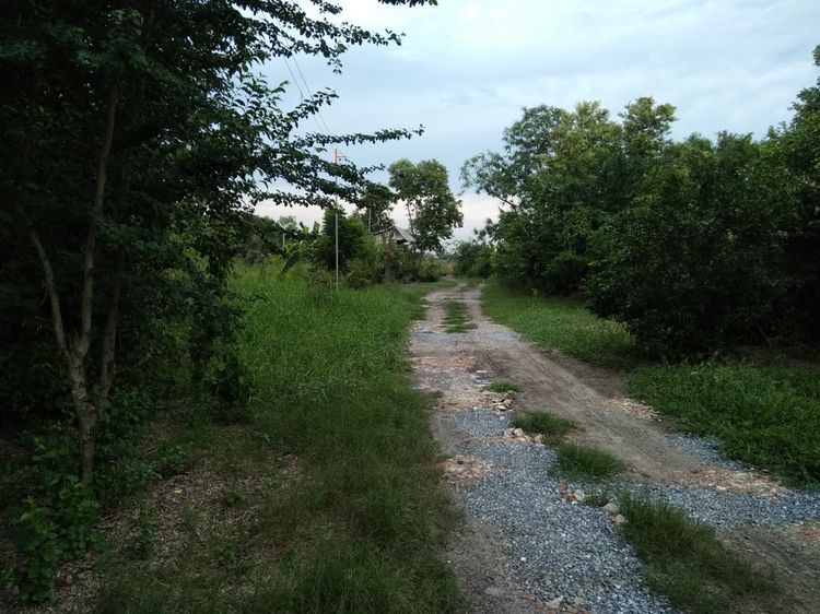 ขายที่ดินเปล่า ซ.หมู่บ้านเคหะการเกษตร31(บางใหญ่)