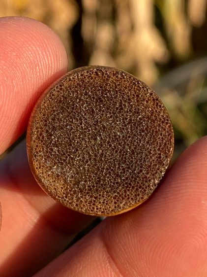 เครื่องราง รูปที่ 7