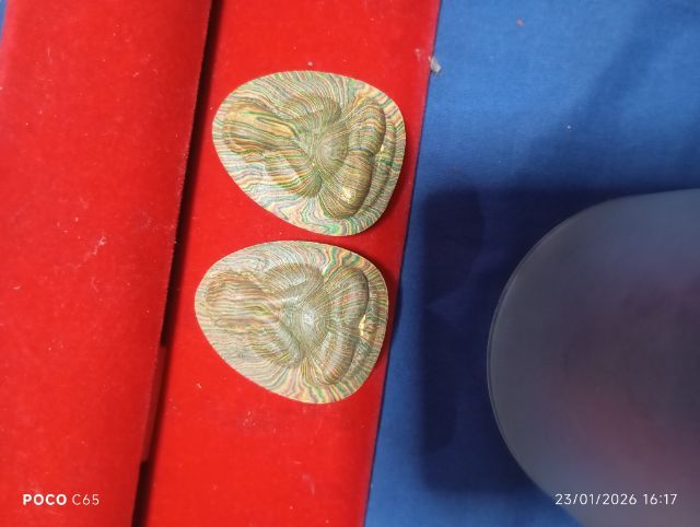 ปิดตาจัมโบ้สายรุ้งของหลวงพ่อแพ วัดพิกุลทอง