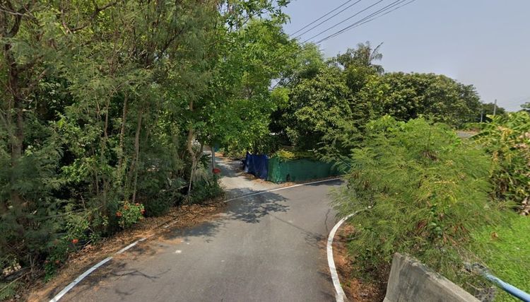 ขายที่ดิน 100 ตรว. ที่ดินหน้ากว้าง 20 เมตร(บางใหญ่) รูปที่ 3
