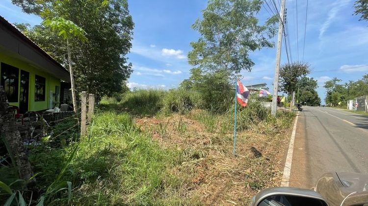 ที่ดินติดถนนดำ ทำเลทอง ทางเข้าวัดหลวงพ่อทบ ต.วังชมภู อ.เมือง เพชรบูรณ์ รูปที่ 3