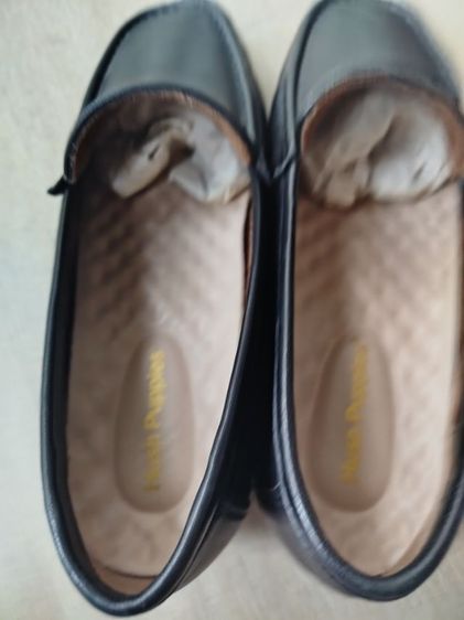 Hush PUPPIUES รูปที่ 2