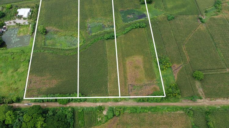 ที่ดินแปลงใหญ่ ใกล้เมือง วิวภูเขา  ตำบลบ้านโตก อำเภอเมืองเพชรบูรณ์ จังหวัดเพชรบูรณ์ รูปที่ 4